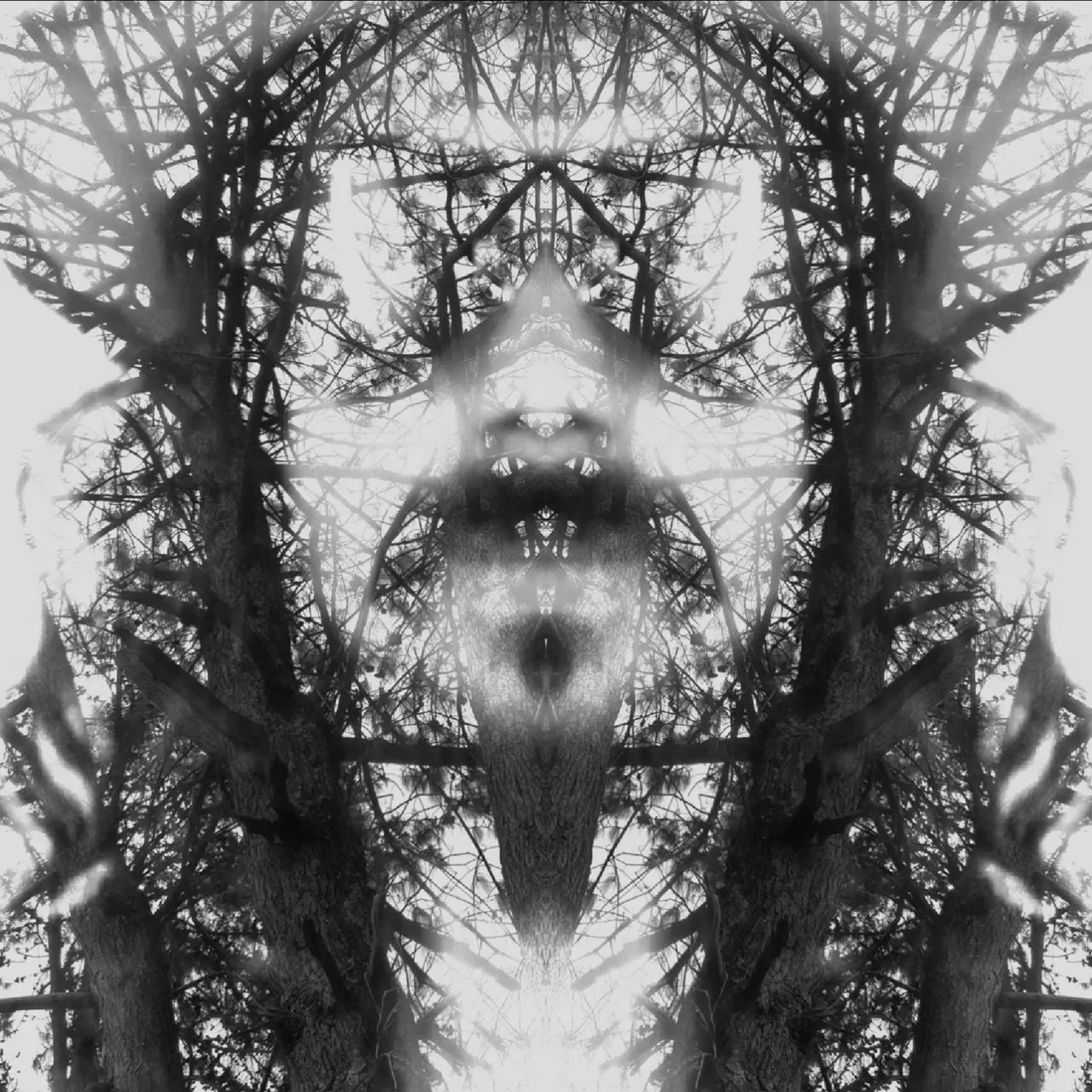 image3A110840_mirror2.jpg