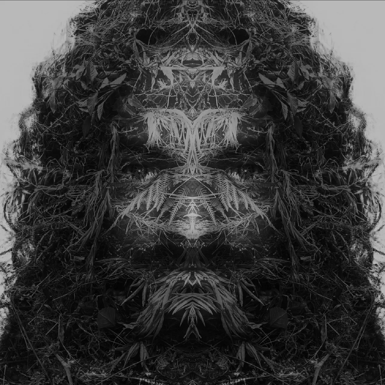 image3A110855_mirror3.jpg