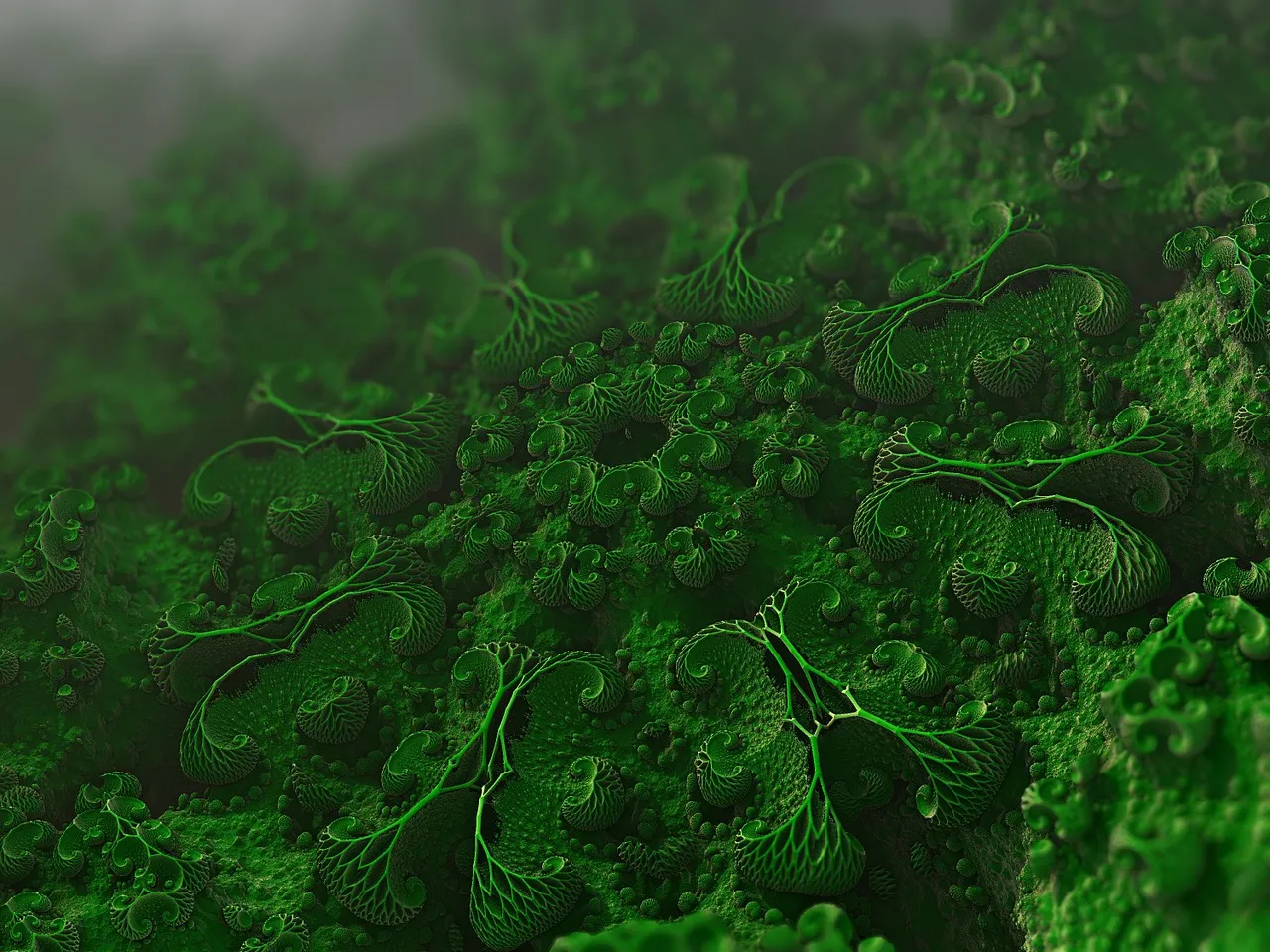 organism-1480569_1280.jpg