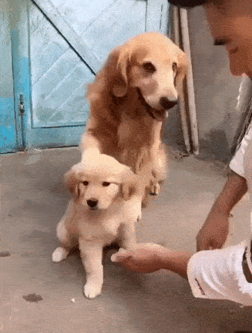 123123123qwe123qwe123.gif