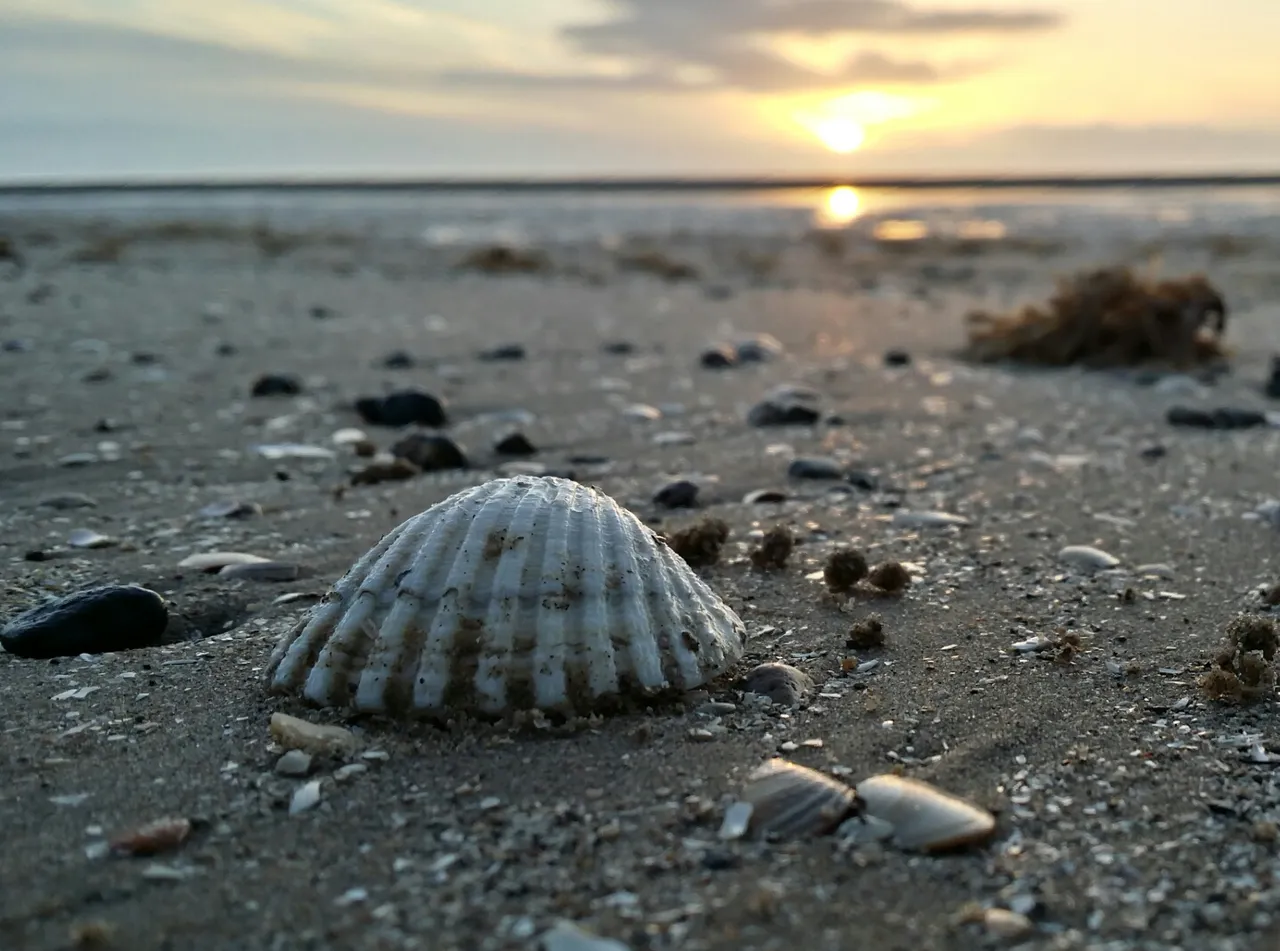 2013-10-17 18.29.36.jpg