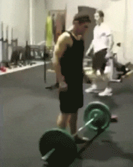 daily_gifdump_1524_26.gif