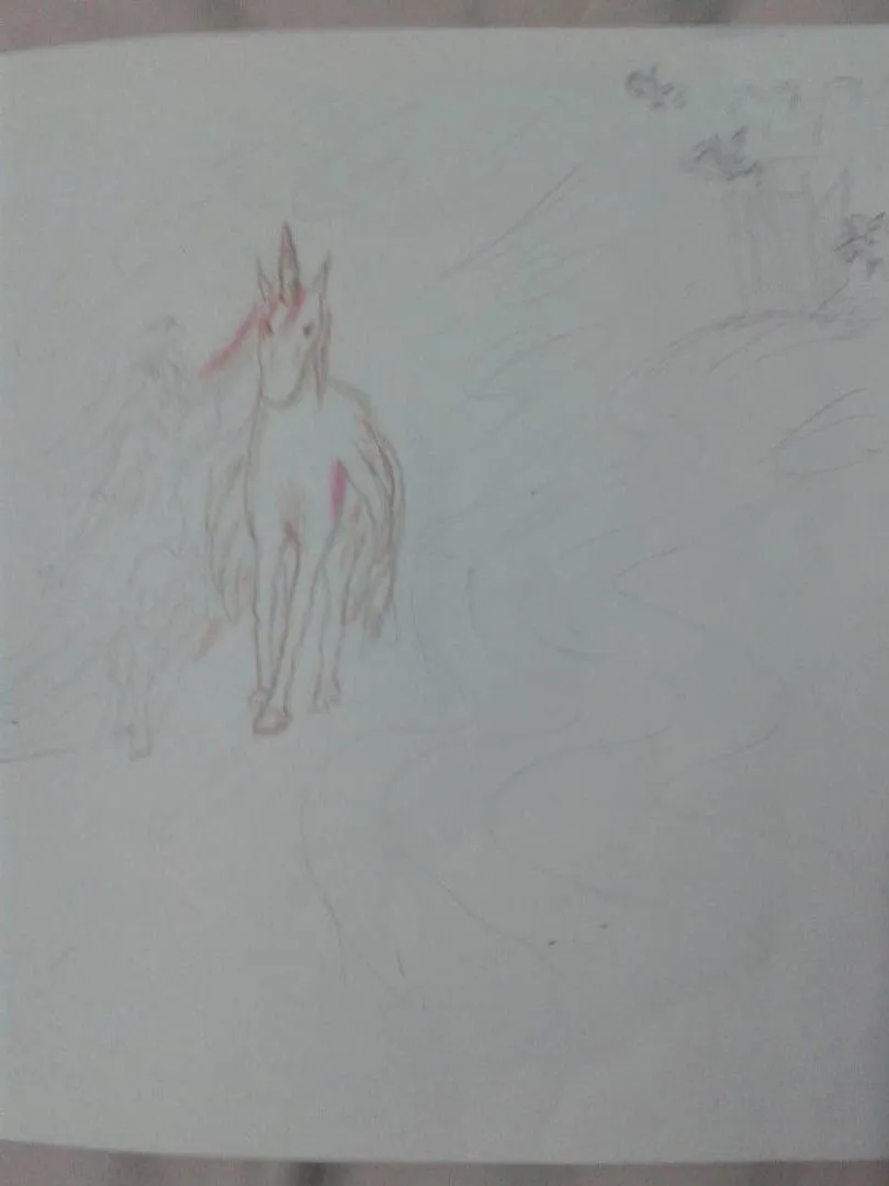 Paso 1 - Boceto.jpg