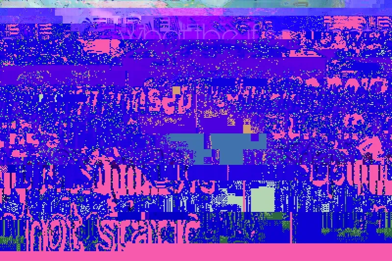 20171004192120_glitch.jpg