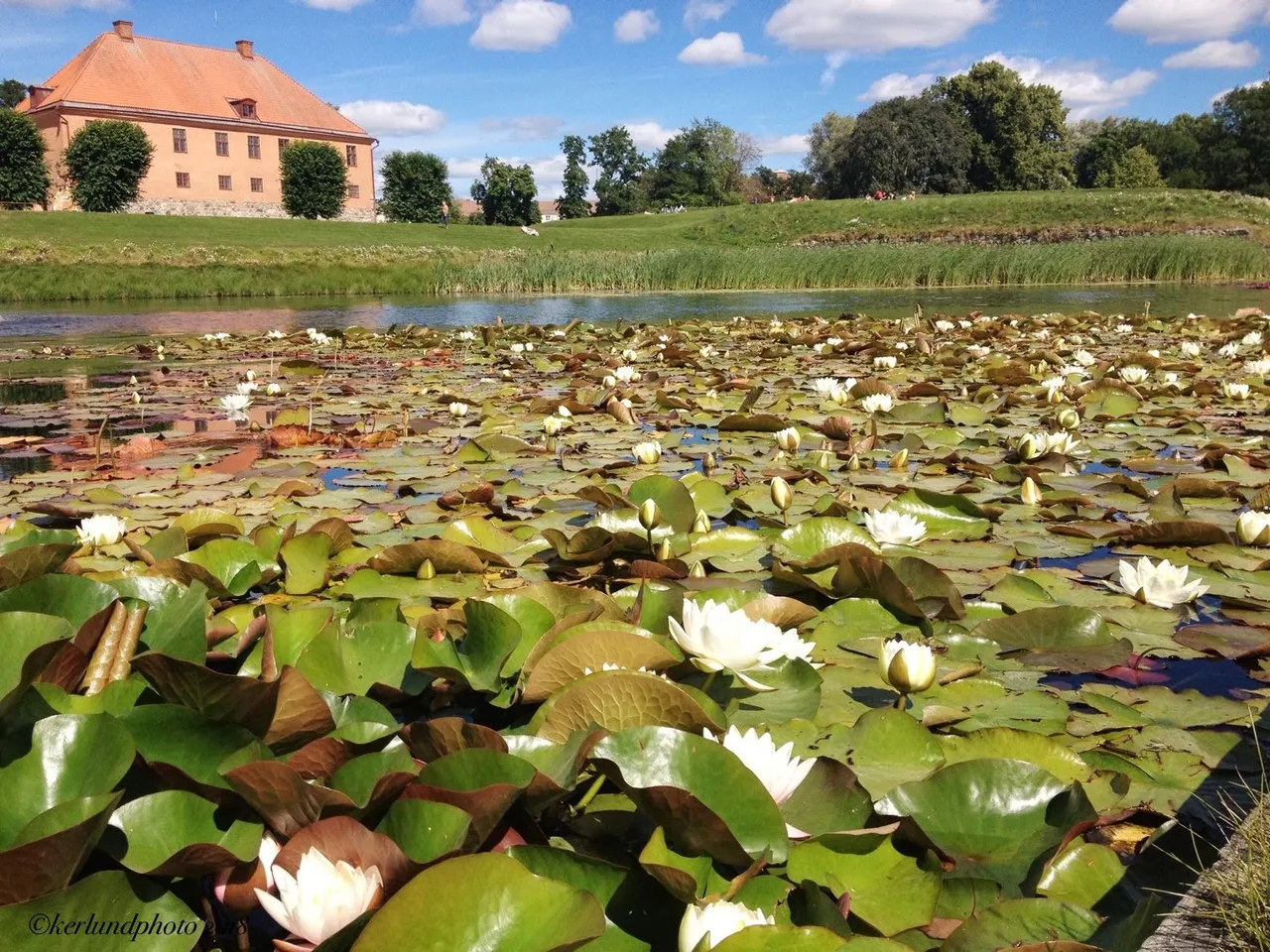 nyköpings hus.jpg