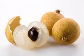 jal buah lengkeng.PNG