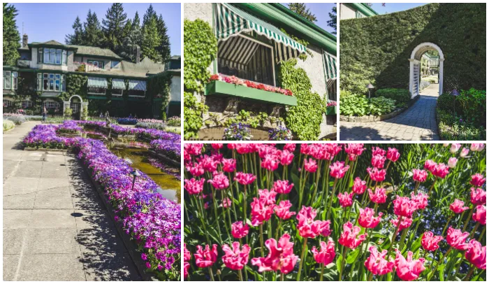 BeFunky-collage (9).png