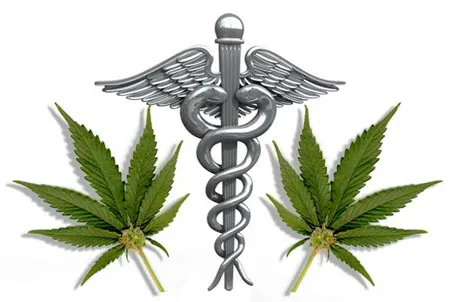 Medical_Symbol-leaves.jpg