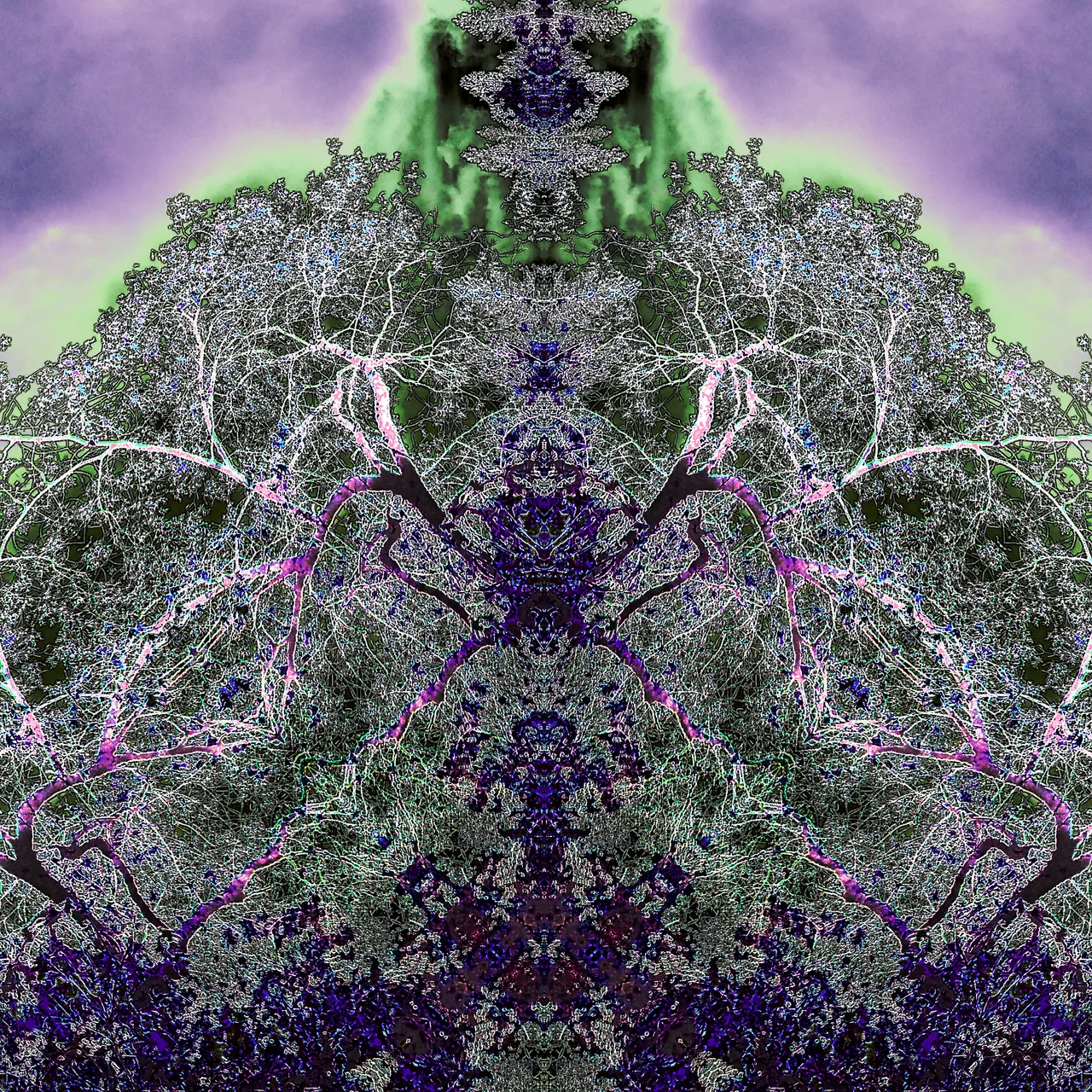image%3A210_mirror3.png