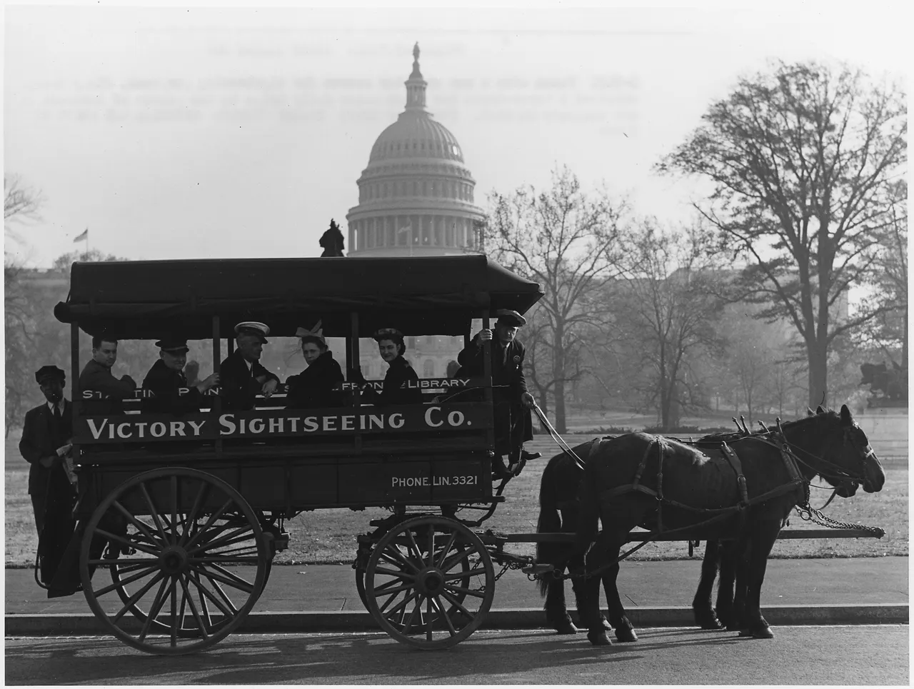 Horse bus