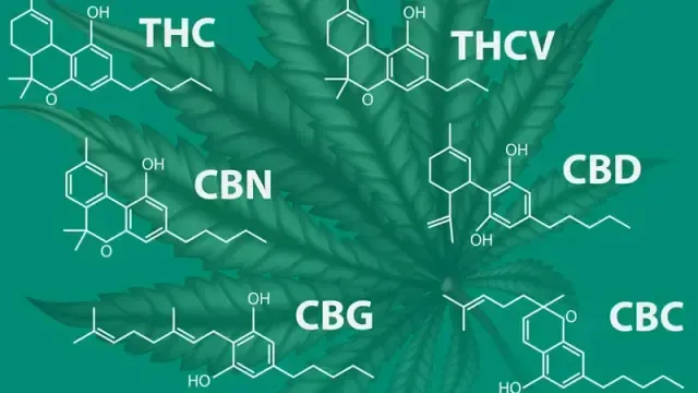 Cannabinoids-CBN-CBG-CBD-CBC