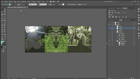 Process Gif