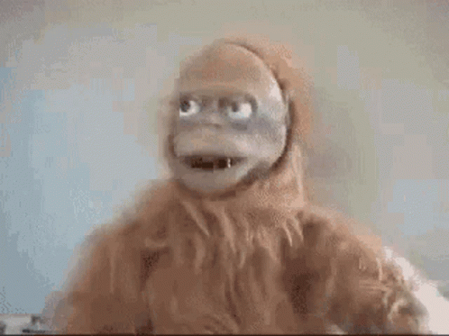 untitled.gif