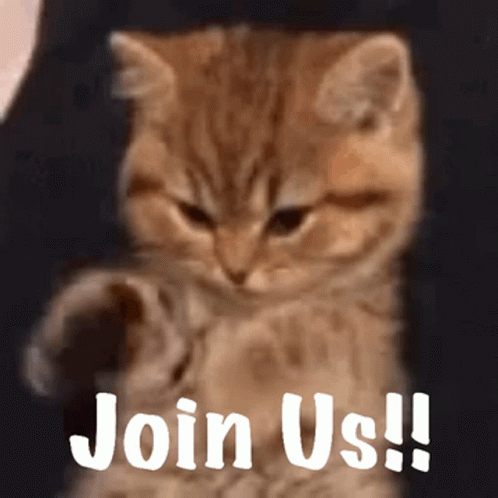 untitled.gif