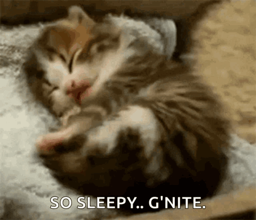 untitled.gif