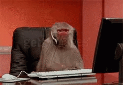 untitled.gif