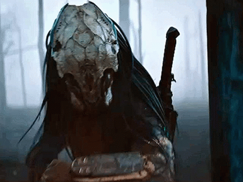 untitled.gif