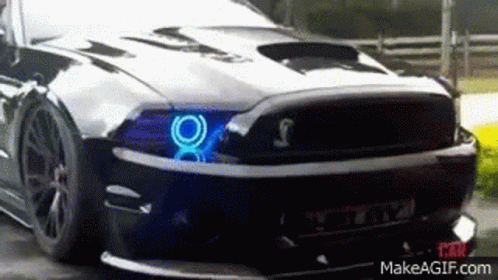 untitled.gif