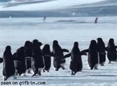 untitled.gif