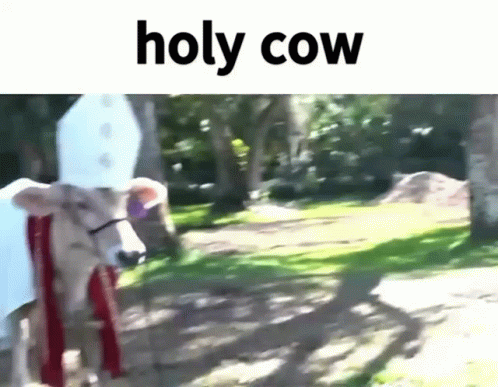 untitled.gif