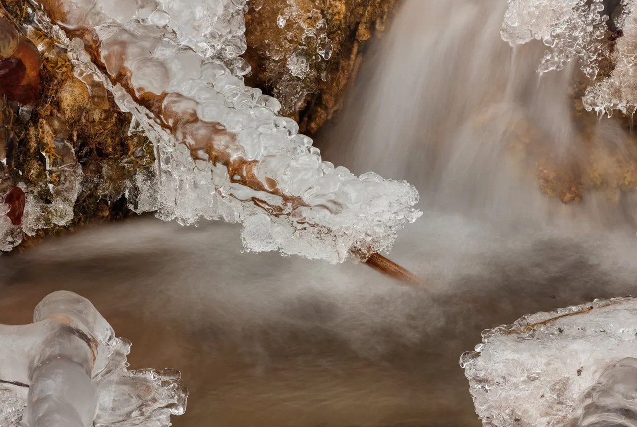 Ice envelops the dead branch