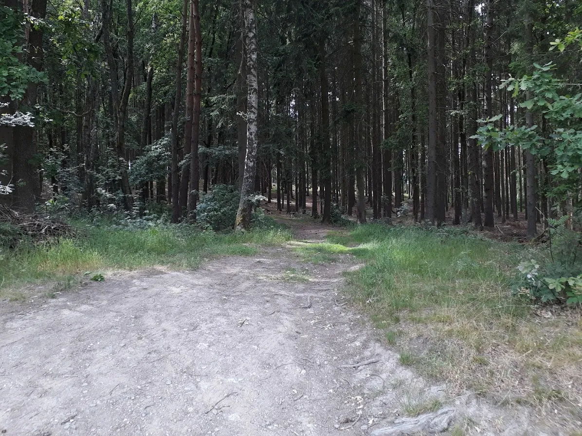 20250626_150843.jpg