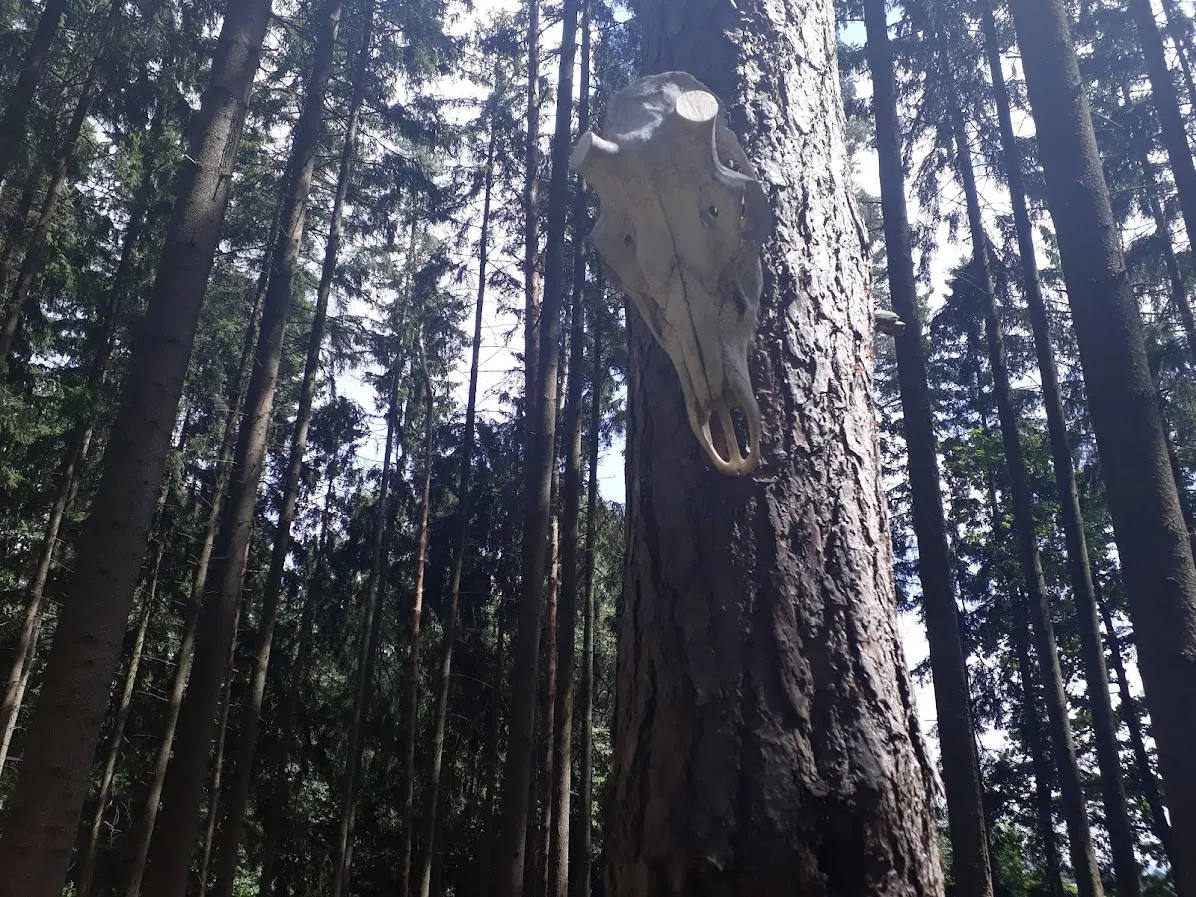 20250717_135915.jpg