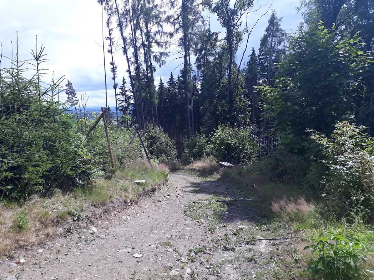 20250709_153041.jpg