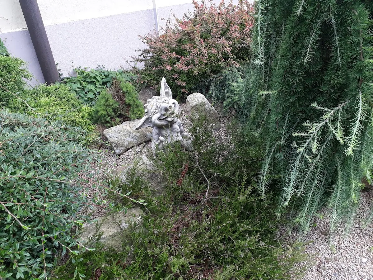 20250724_160523.jpg