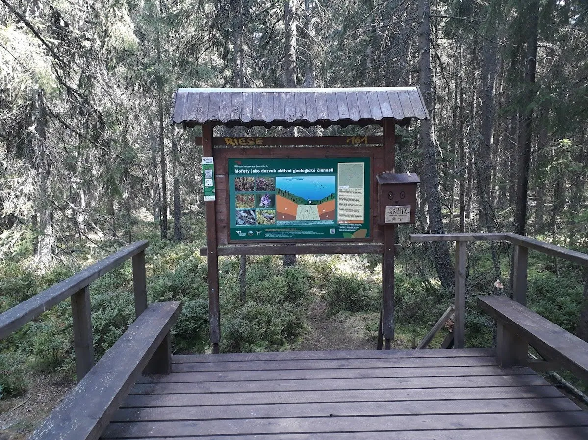 20250807_145007.jpg