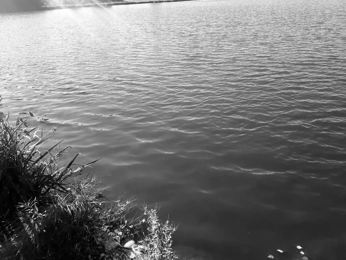 20250918_161439.jpg