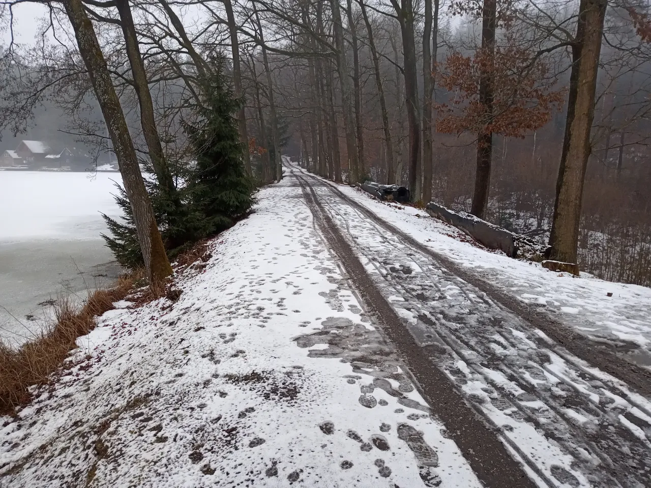 IMG_20260129_163702.jpg