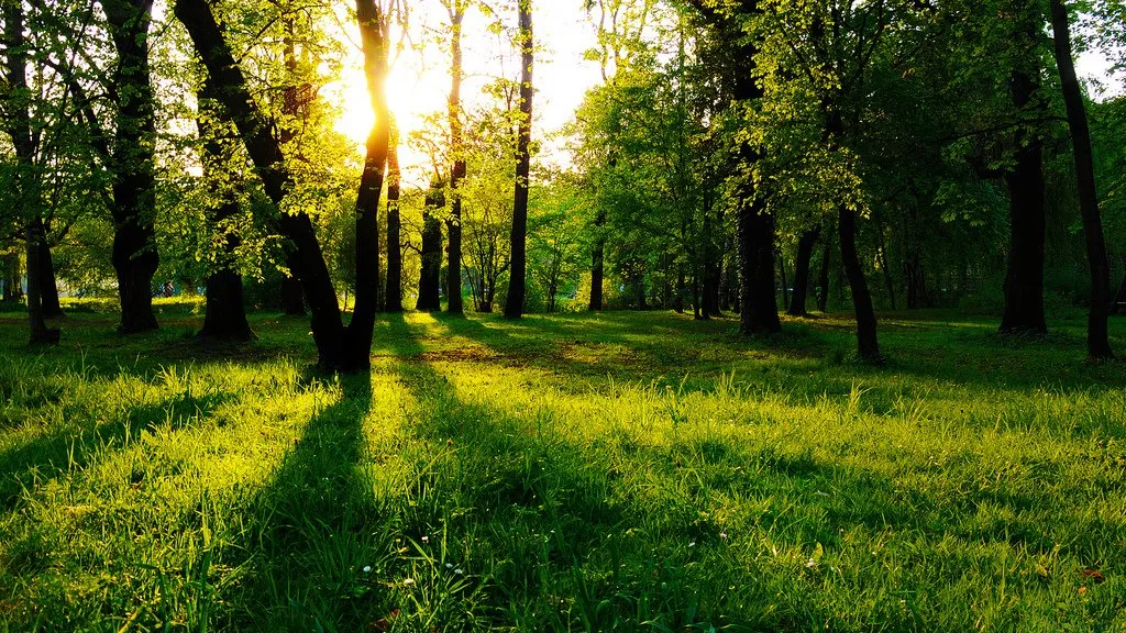 nature0b245.jpg