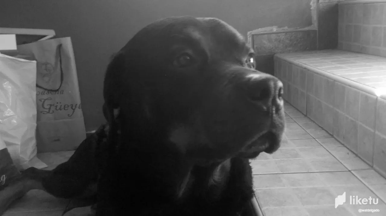 clut1m0gn005g9hsz6ibq43oy_2011-07-24_11-51-26_974.webp