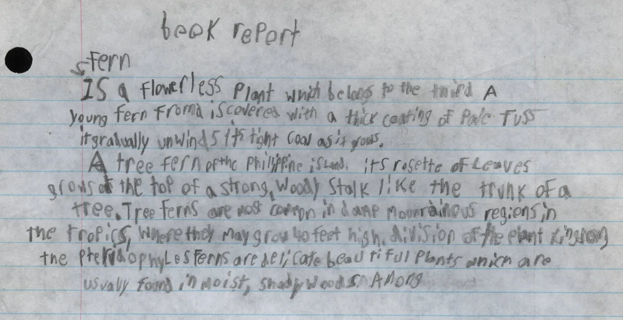1997 Book Report on a plant like Stern or something.jpg