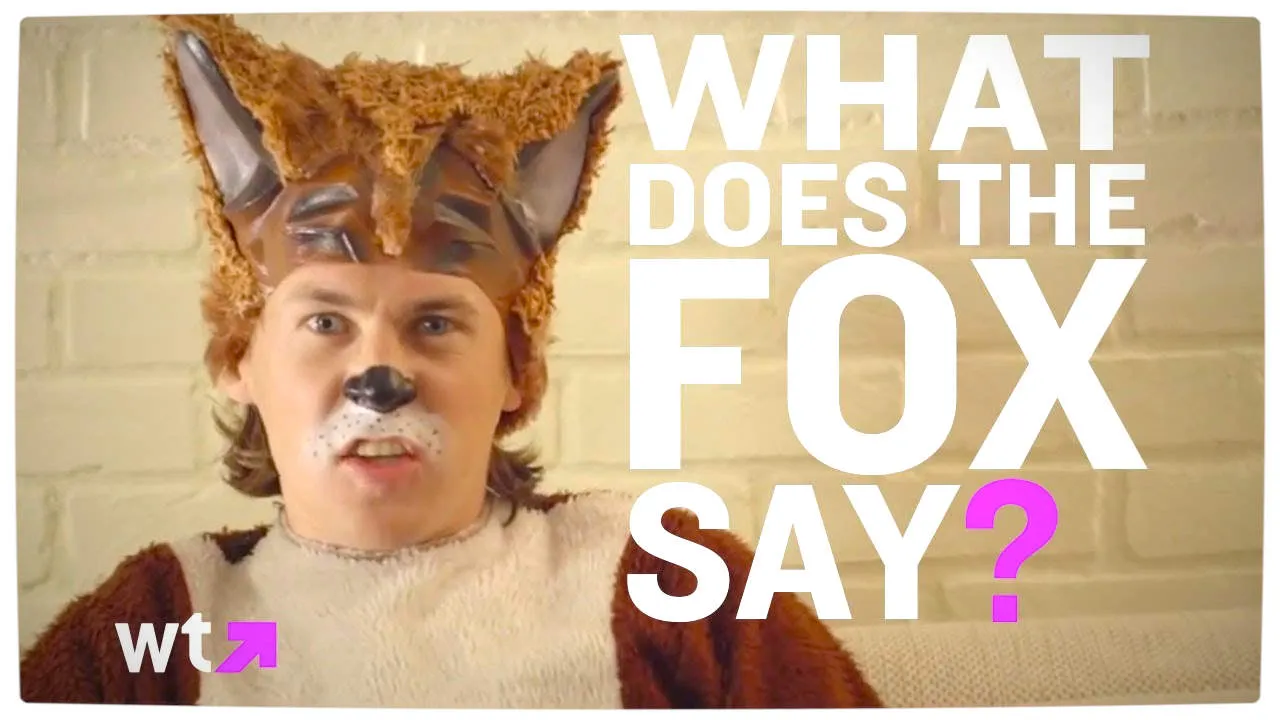 Vamers-FIY-Ermahgerd-What-does-the-Fox-say-Ylvis-has-the-answer-Main-.jpg