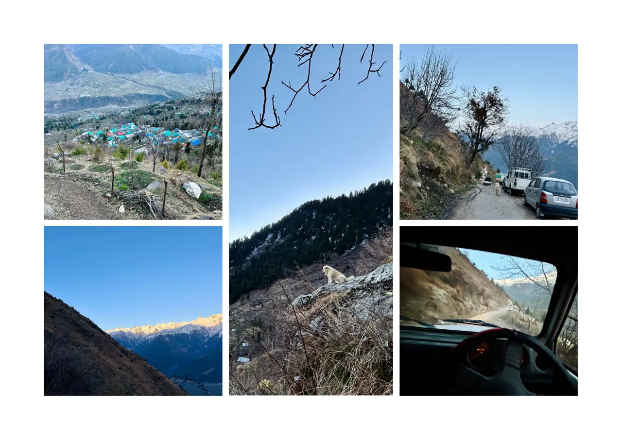 Brown and Beige Simple Interior Photo Collage Landscape A3.png