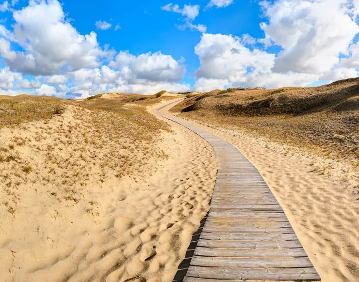 Wooden-path-into-the-Dunes.-Curonian-Spit-National-Park-Lithuania-740x582.jpg