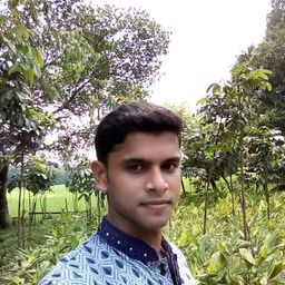 Mohammad Lanzu Hasan avatar