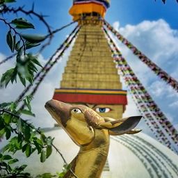 Aalok avatar