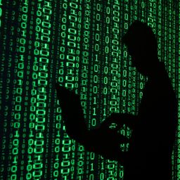 Hacker Boy avatar