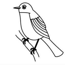 abird avatar