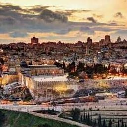 Help palestine