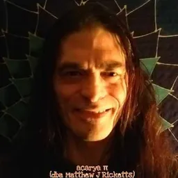 acarya π avatar