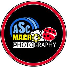 acehmacro avatar