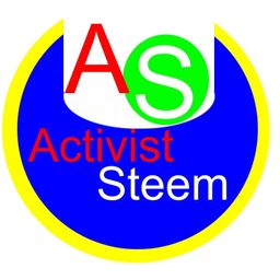 activisteem avatar