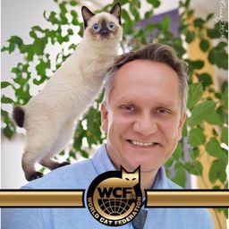 Albert Kurkowski avatar
