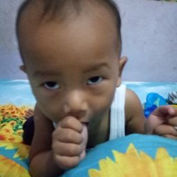 ady1983 avatar