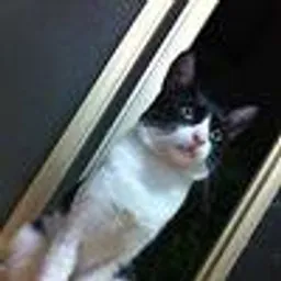 AFUKICHI avatar