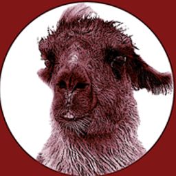 agaphenus avatar